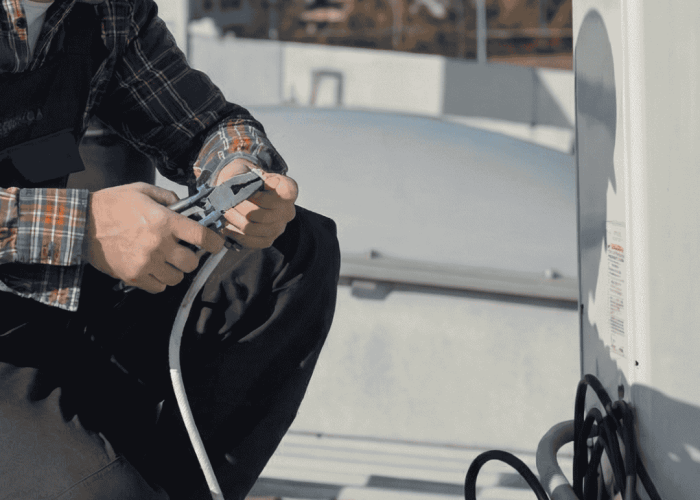 Diseño sin título (18)